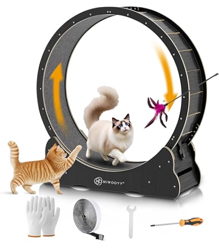 Amazon | ○B-blast キャットホイール ビーブラスト 猫用品 おもちゃ